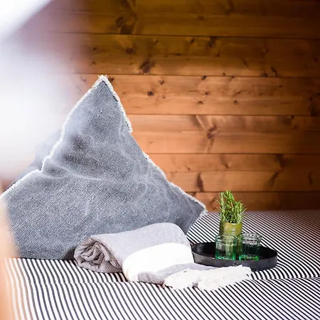 Schoenherr Haus מלון 4*