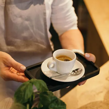 מלון Schoenherr Haus