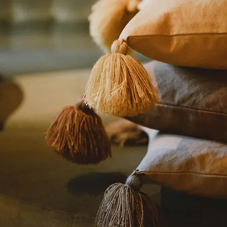 酒店 圣荷尔豪斯酒店 施图拜河谷新施蒂夫特