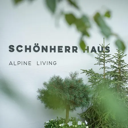 Schoenherr Haus فندق