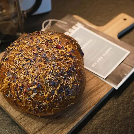 圣荷尔豪斯酒店 酒店 施图拜河谷新施蒂夫特