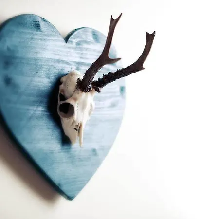 מלון Schoenherr Haus ניוסטיפט אים סטובאיטל