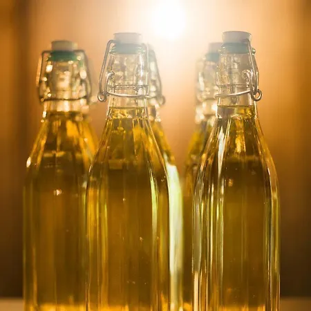 圣荷尔豪斯酒店