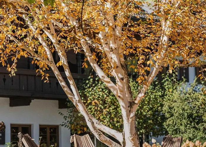 シュネンヘル ハウス 4* ノイシュティフト・イム・シュトゥーバイタール