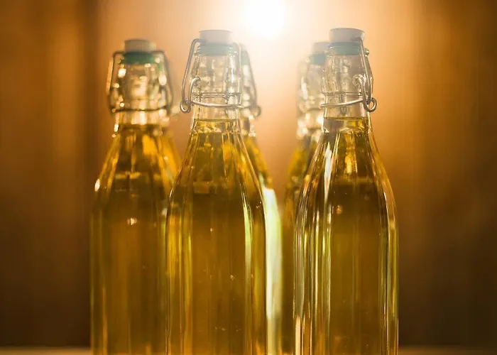 シュネンヘル ハウス